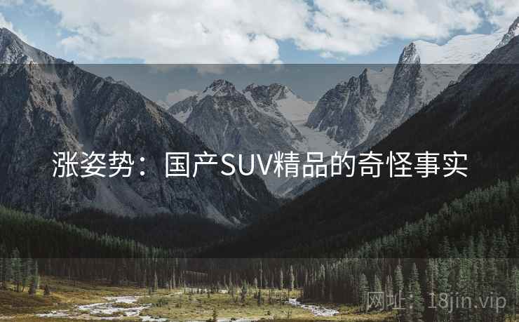 涨姿势：国产SUV精品的奇怪事实