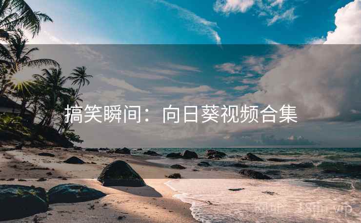 搞笑瞬间:向日葵视频合集 搞笑瞬间:向日葵视频合集