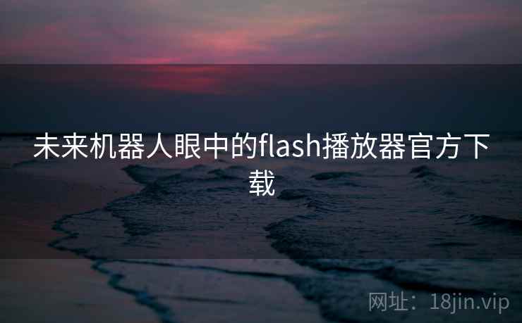 未来机器人眼中的flash播放器官方下载