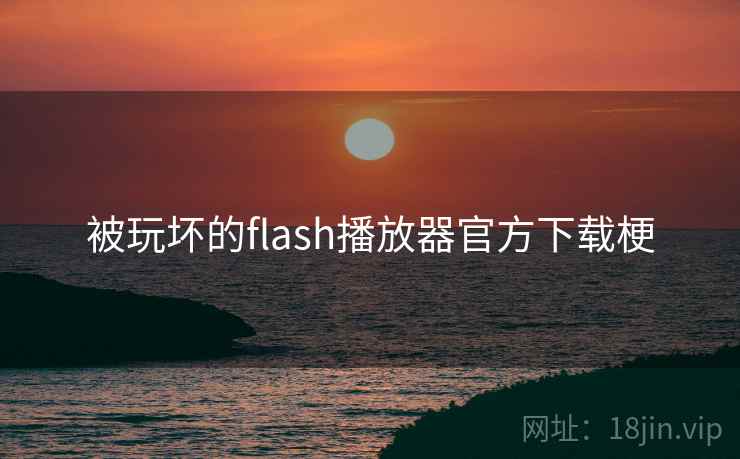 被玩坏的flash播放器官方下载梗