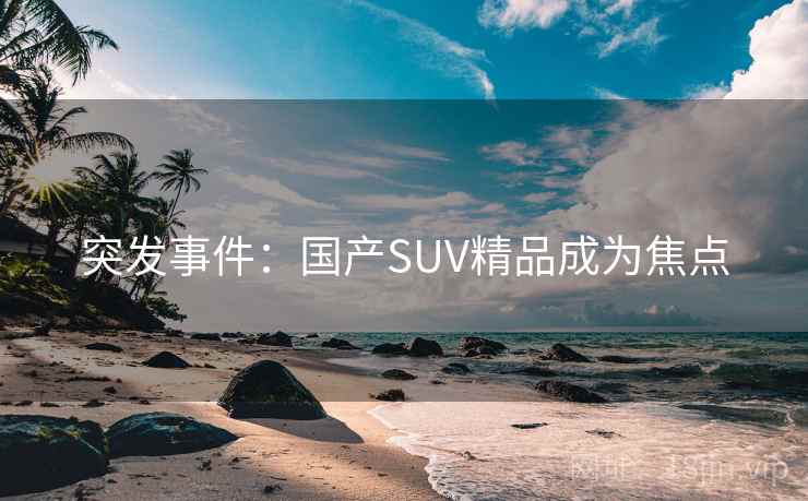 突发事件:国产SUV精品成为焦点 突发事件:国产SUV精品成为焦点